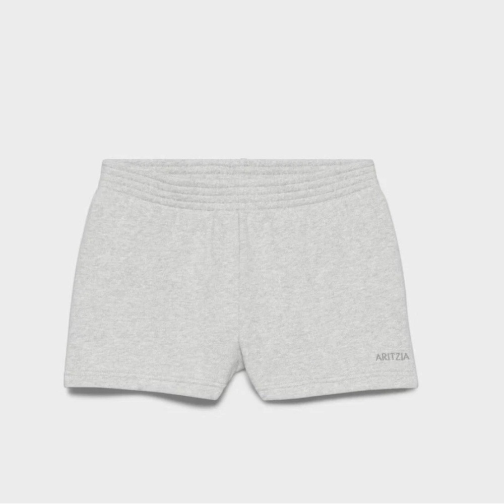 Aritzia Gray Shorts